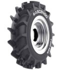 LLANTA ASCENSO TDB125 R-2 12.4 24